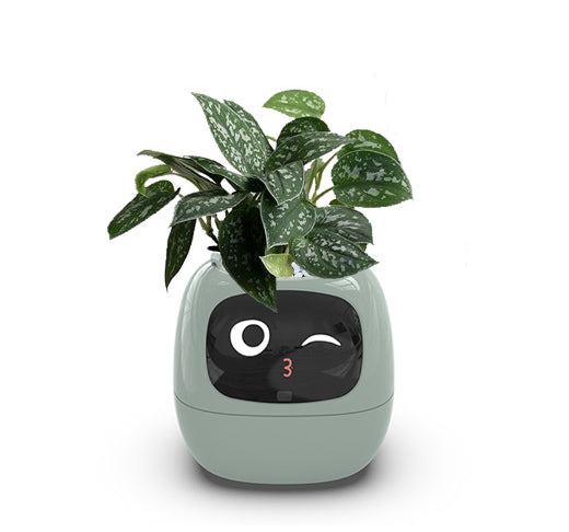 Leafora™ - Tuya Ivy Smart Planter